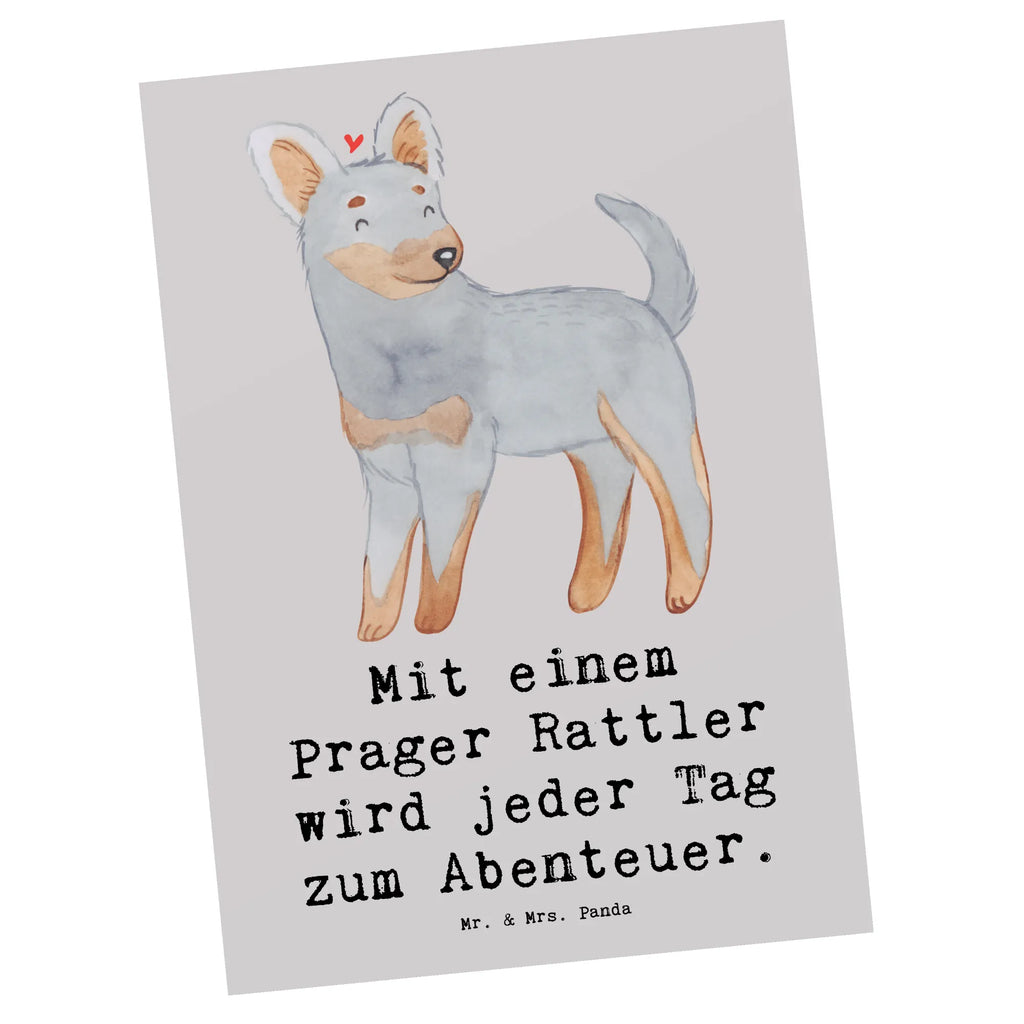 Postkarte Prager Rattler Abenteuer Einladungskarte, Einladung, Ansichtskarten, Geburtstagskarte, Grußkarte, Karte, Ansichtskarte, Einladungskarten Geburtstag, Postkarte, Dankeskarte, Geschenkkarte, Einladung Geburtstag, Hund, Hunderasse, Rassehund, Hundebesitzer, Geschenk, Tierfreund, Schenken, Welpe