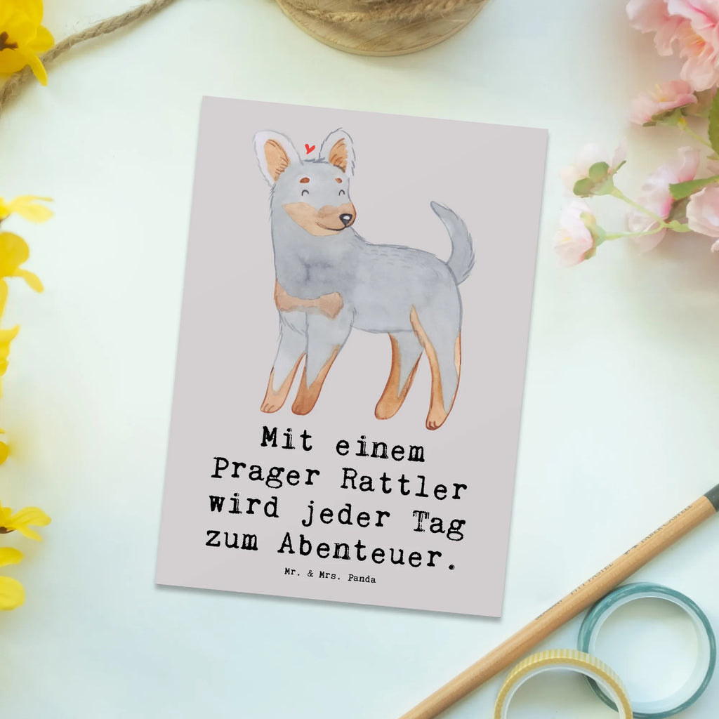 Postkarte Prager Rattler Abenteuer Einladungskarte, Einladung, Ansichtskarten, Geburtstagskarte, Grußkarte, Karte, Ansichtskarte, Einladungskarten Geburtstag, Postkarte, Dankeskarte, Geschenkkarte, Einladung Geburtstag, Hund, Hunderasse, Rassehund, Hundebesitzer, Geschenk, Tierfreund, Schenken, Welpe