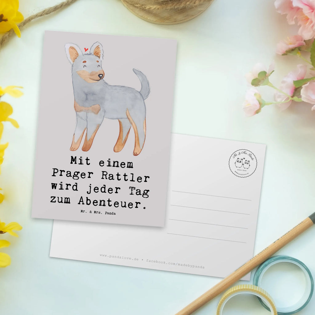 Postkarte Prager Rattler Abenteuer Einladungskarte, Einladung, Ansichtskarten, Geburtstagskarte, Grußkarte, Karte, Ansichtskarte, Einladungskarten Geburtstag, Postkarte, Dankeskarte, Geschenkkarte, Einladung Geburtstag, Hund, Hunderasse, Rassehund, Hundebesitzer, Geschenk, Tierfreund, Schenken, Welpe