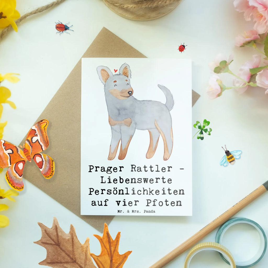 Greetings card Prager Rattler - Liebenswerte Persönlichkeiten auf vier Pfoten Grußkarte, Einladungskarte, Karte, Ansichtskarten, Glückwunschkarte, Hochzeitskarte, Klappkarte, Geburtstagskarte, Hund, Hunderasse, Rassehund, Hundebesitzer, Geschenk, Tierfreund, Schenken, Welpe