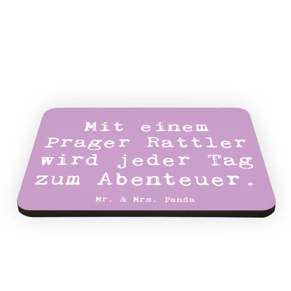 Magnet Spruch Prager Rattler Abenteuer Whiteboard Magnet, Notiz Magnet, Kühlschrank Dekoration, Dekomagnet, Kühlschrankmagnet, Motivmagnete, Pinnwandmagnet, Souvenir Magnet, Hund, Hunderasse, Rassehund, Hundebesitzer, Geschenk, Tierfreund, Schenken, Welpe
