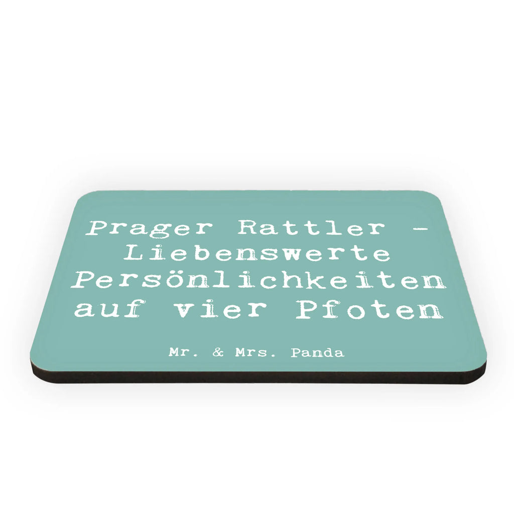 Magnet Saying Prager Rattler - Liebenswerte Persönlichkeiten auf vier Pfoten Kühlschrank Dekoration, Dekomagnet, Pinnwandmagnet, Kühlschrankmagnet, Souvenir Magnet, Notiz Magnet, Whiteboard Magnet, Motivmagnete, Hund, Hunderasse, Rassehund, Hundebesitzer, Geschenk, Tierfreund, Schenken, Welpe