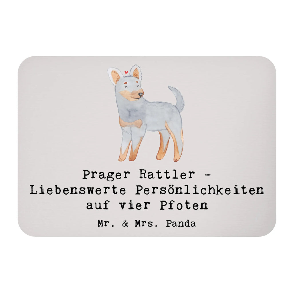 Magnet Prager Rattler - Liebenswerte Persönlichkeiten auf vier Pfoten Whiteboard Magnet, Kühlschrankmagnet, Notiz Magnet, Souvenir Magnet, Kühlschrank Dekoration, Pinnwandmagnet, Motivmagnete, Dekomagnet, Hund, Hunderasse, Rassehund, Hundebesitzer, Geschenk, Tierfreund, Schenken, Welpe