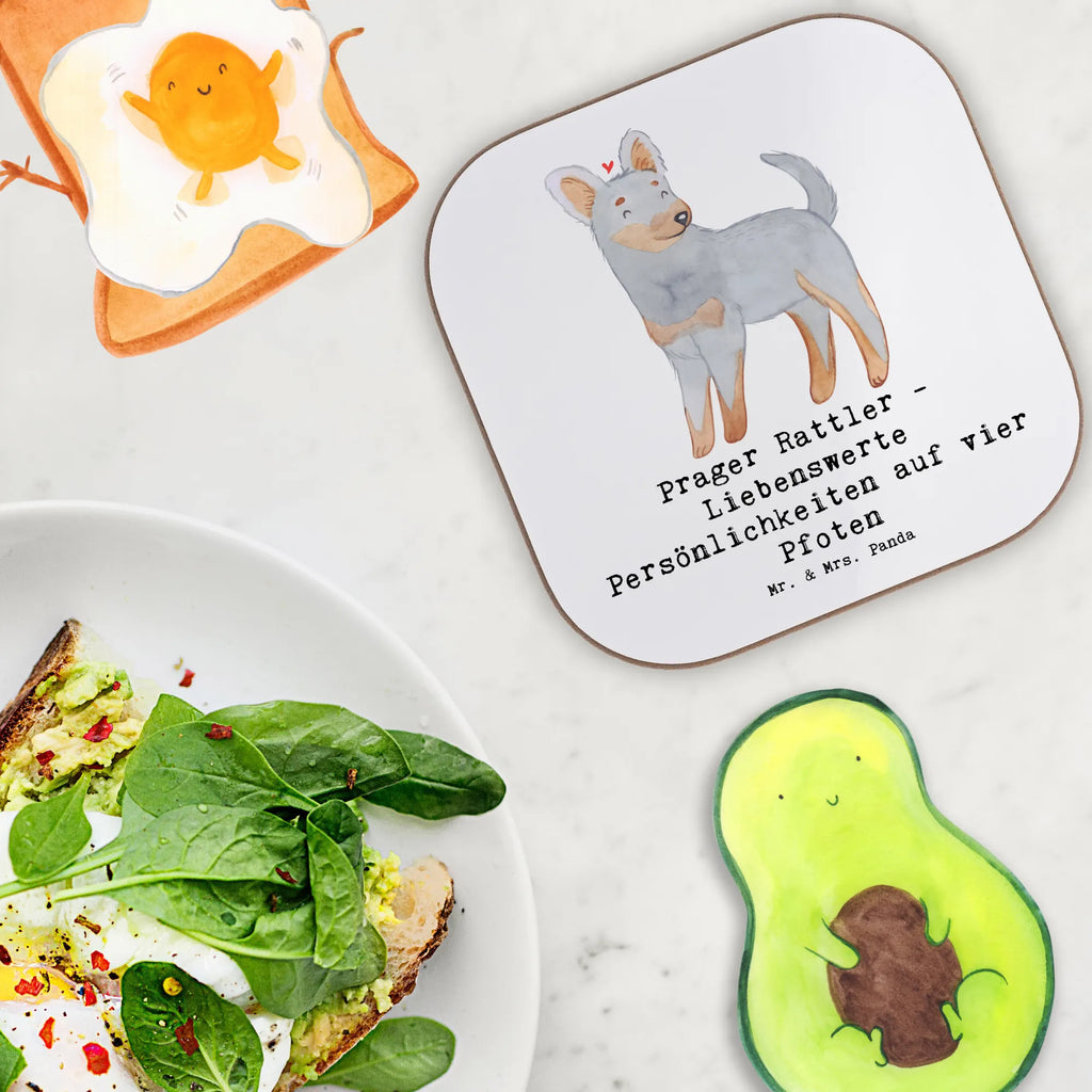 Square coaster Prager Rattler - Liebenswerte Persönlichkeiten auf vier Pfoten Untersetzer Design, Untersetzer Holz, Holzuntersetzer, Korkuntersetzer, Glasuntersetzer, Untersetzer für Gläser, Untersetzer aus Holz, Untersetzer Gläser, Bierdeckel, Getränkeuntersetzer, Untersetzer, Tassen Untersetzer, Hund, Hunderasse, Rassehund, Hundebesitzer, Geschenk, Tierfreund, Schenken, Welpe