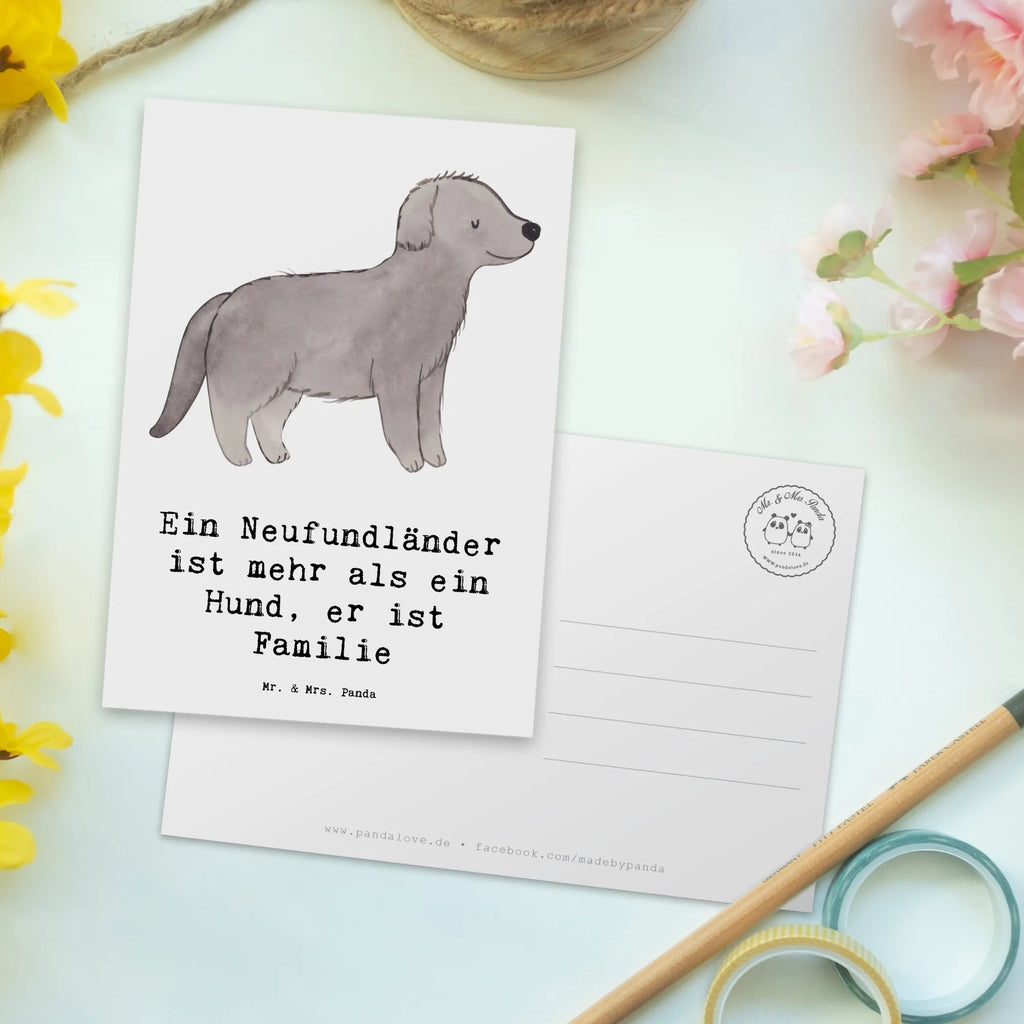 Postkarte Neufundländer Familie Grußkarte, Einladung, Dankeskarte, Einladungskarten Geburtstag, Geburtstagskarte, Ansichtskarte, Ansichtskarten, Postkarte, Einladungskarte, Einladung Geburtstag, Karte, Geschenkkarte, Hund, Hunderasse, Rassehund, Hundebesitzer, Geschenk, Tierfreund, Schenken, Welpe