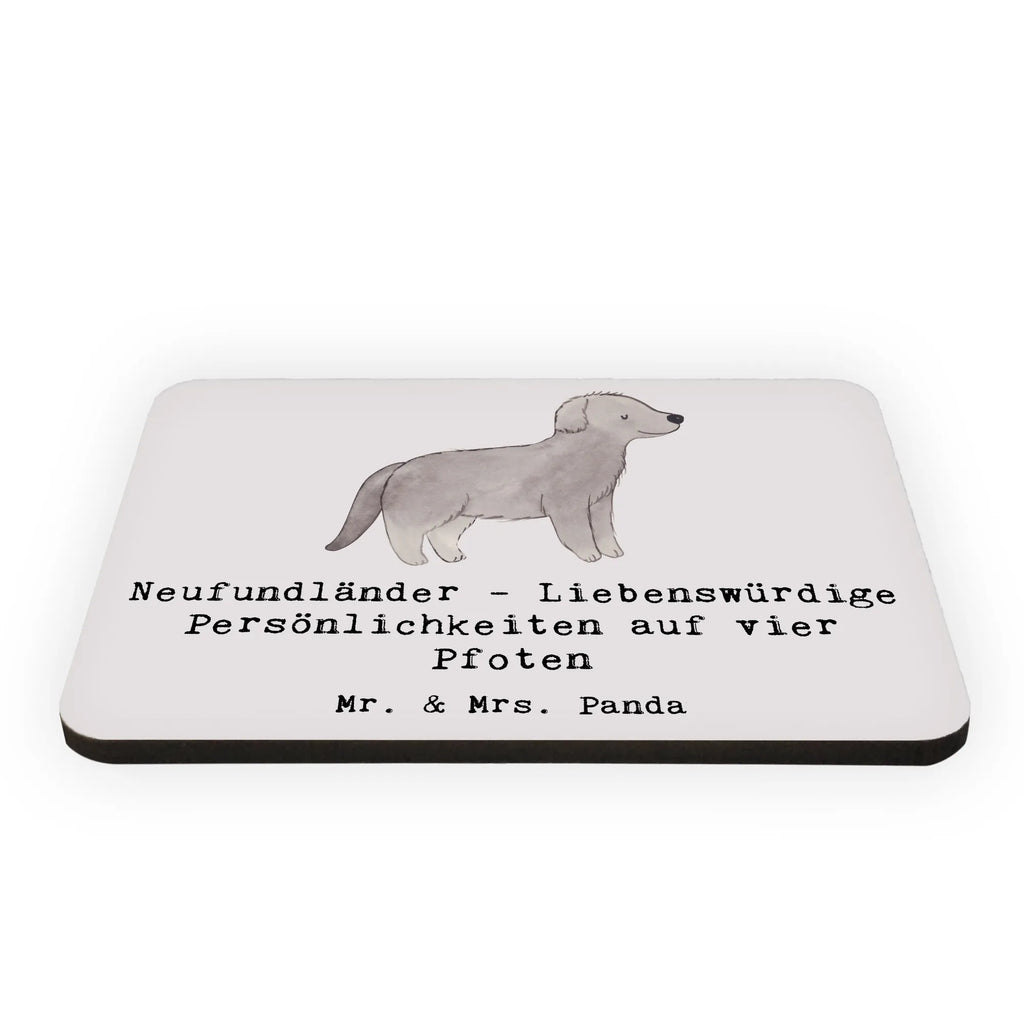 Magnet Neufundländer Persönlichkeiten Motivmagnete, Souvenir Magnet, Kühlschrank Dekoration, Pinnwandmagnet, Whiteboard Magnet, Notiz Magnet, Kühlschrankmagnet, Dekomagnet, Hund, Hunderasse, Rassehund, Hundebesitzer, Geschenk, Tierfreund, Schenken, Welpe