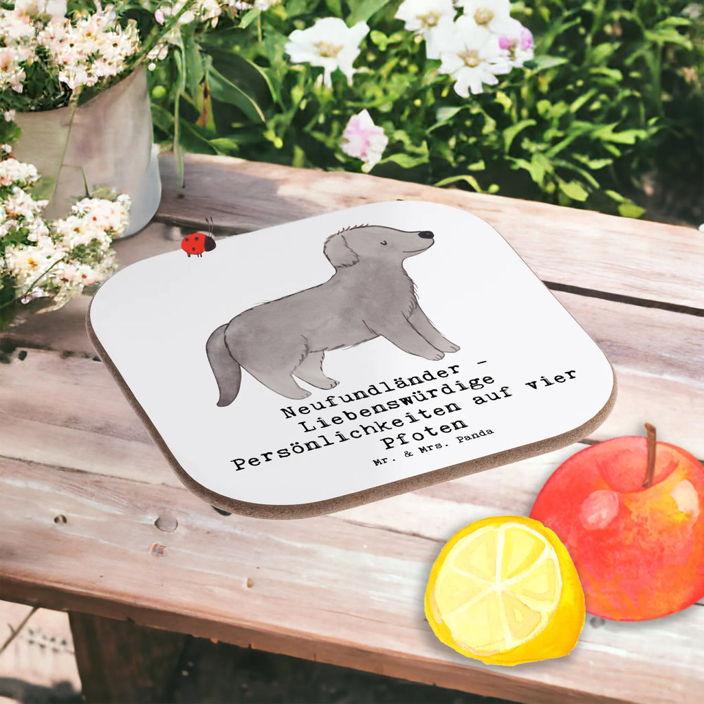 Square coaster Neufundländer - Liebenswürdige Persönlichkeiten auf vier Pfoten Untersetzer Gläser, Untersetzer, Untersetzer Design, Korkuntersetzer, Untersetzer aus Holz, Bierdeckel, Glasuntersetzer, Holzuntersetzer, Untersetzer für Gläser, Tassen Untersetzer, Getränkeuntersetzer, Untersetzer Holz, Hund, Hunderasse, Rassehund, Hundebesitzer, Geschenk, Tierfreund, Schenken, Welpe