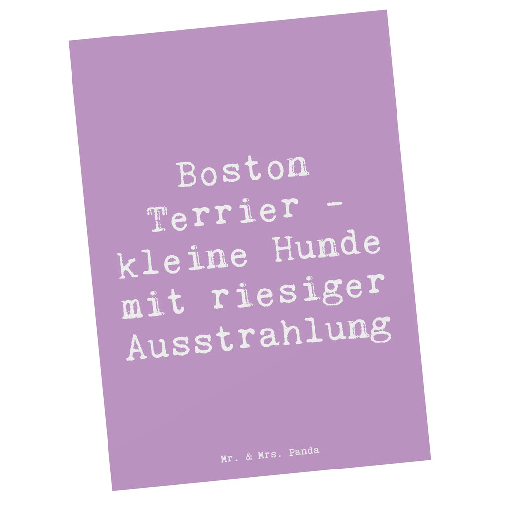 Postkarte Spruch Boston Terrier Ansichtskarte, Einladungskarten Geburtstag, Karte, Grußkarte, Geschenkkarte, Ansichtskarten, Postkarte, Einladungskarte, Geburtstagskarte, Einladung Geburtstag, Dankeskarte, Einladung, Hund, Hunderasse, Rassehund, Hundebesitzer, Geschenk, Tierfreund, Schenken, Welpe