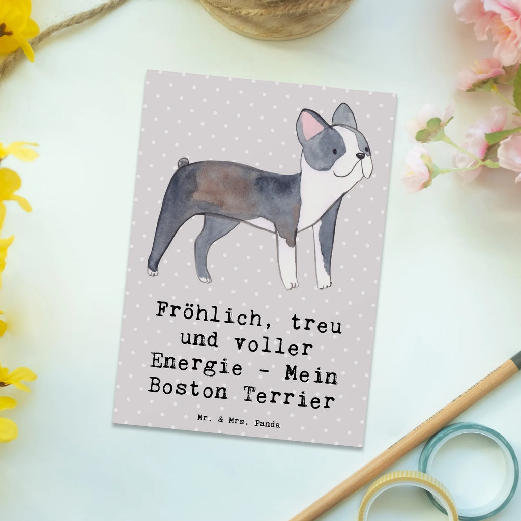 Postcard Fröhlich, treu und voller Energie - Mein Boston Terrier Geschenkkarte, Postkarte, Karte, Ansichtskarten, Ansichtskarte, Einladungskarte, Geburtstagskarte, Dankeskarte, Einladungskarten Geburtstag, Einladung Geburtstag, Grußkarte, Einladung, Hund, Hunderasse, Rassehund, Hundebesitzer, Geschenk, Tierfreund, Schenken, Welpe
