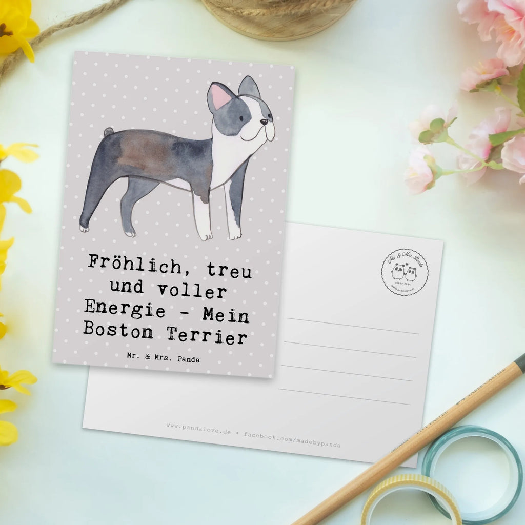 Postcard Fröhlich, treu und voller Energie - Mein Boston Terrier Geschenkkarte, Postkarte, Karte, Ansichtskarten, Ansichtskarte, Einladungskarte, Geburtstagskarte, Dankeskarte, Einladungskarten Geburtstag, Einladung Geburtstag, Grußkarte, Einladung, Hund, Hunderasse, Rassehund, Hundebesitzer, Geschenk, Tierfreund, Schenken, Welpe