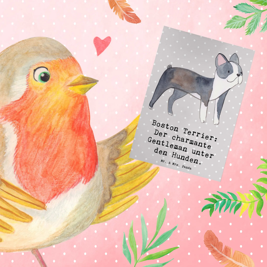 Greetings card Boston Terrier: Der charmante Gentleman unter den Hunden. Ansichtskarten, Karte, Klappkarte, Einladungskarte, Grußkarte, Geburtstagskarte, Hochzeitskarte, Glückwunschkarte, Hund, Hunderasse, Rassehund, Hundebesitzer, Geschenk, Tierfreund, Schenken, Welpe