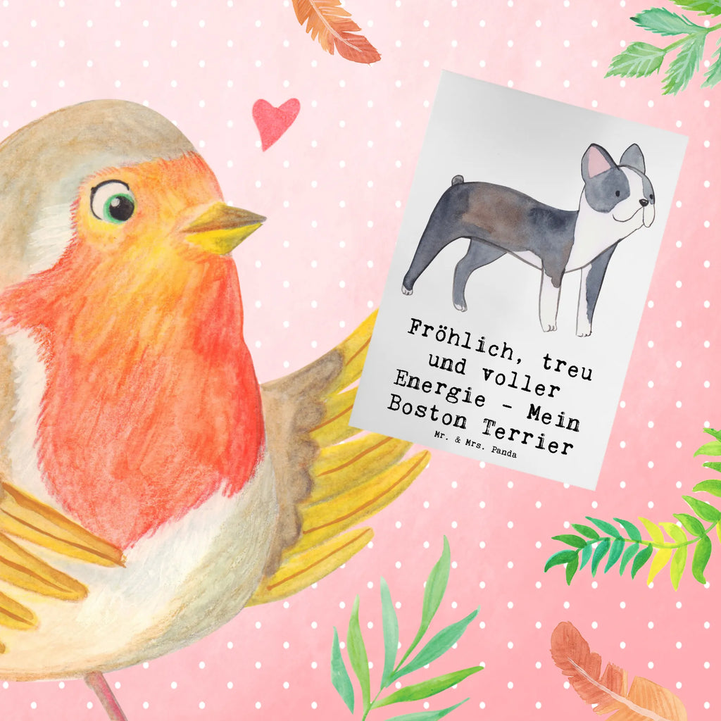 Greetings card Fröhlich, treu und voller Energie - Mein Boston Terrier Glückwunschkarte, Geburtstagskarte, Grußkarte, Ansichtskarten, Einladungskarte, Karte, Klappkarte, Hochzeitskarte, Hund, Hunderasse, Rassehund, Hundebesitzer, Geschenk, Tierfreund, Schenken, Welpe