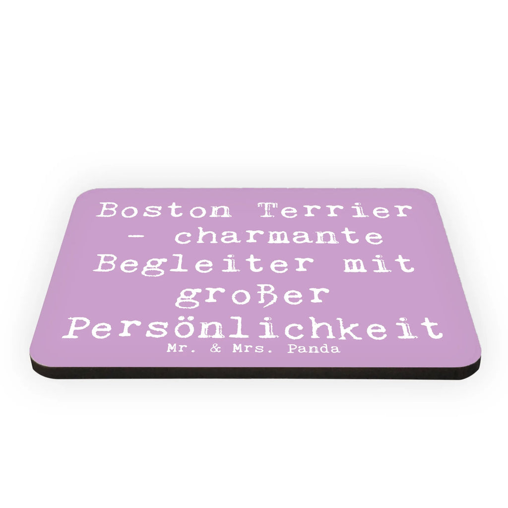 Magnet Spruch Boston Terrier Begleiter Kühlschrankmagnet, Kühlschrank Dekoration, Whiteboard Magnet, Dekomagnet, Souvenir Magnet, Motivmagnete, Notiz Magnet, Pinnwandmagnet, Hund, Hunderasse, Rassehund, Hundebesitzer, Geschenk, Tierfreund, Schenken, Welpe