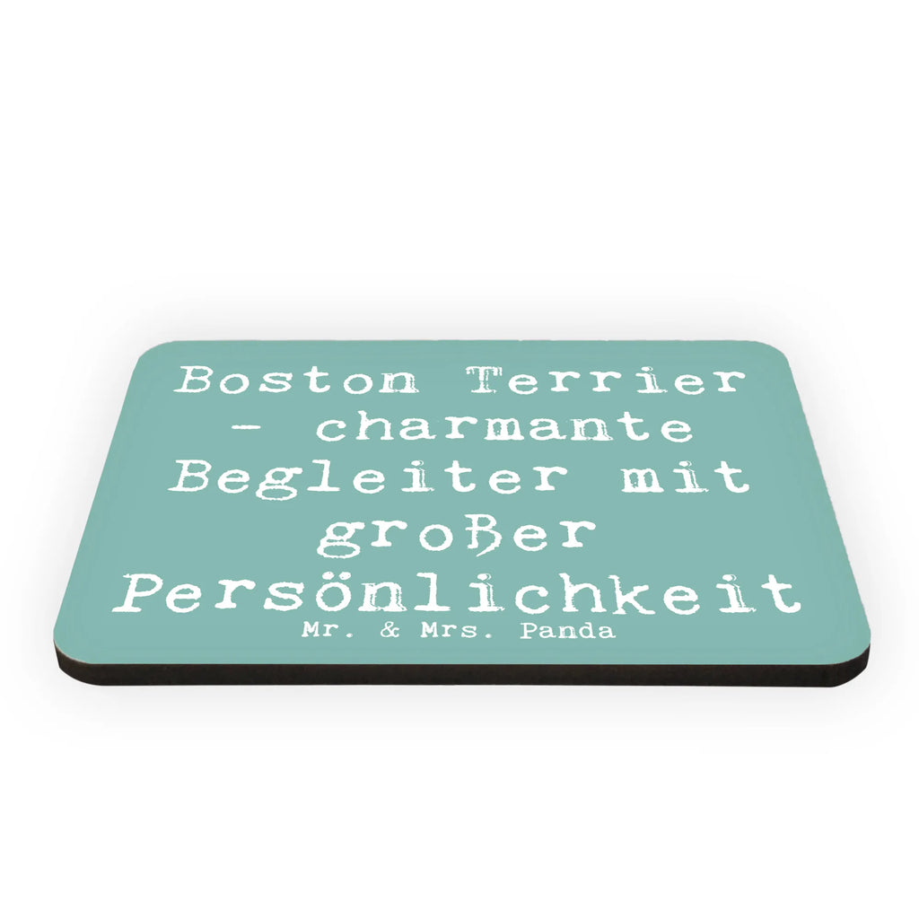 Magnet Spruch Boston Terrier Begleiter Kühlschrankmagnet, Kühlschrank Dekoration, Whiteboard Magnet, Dekomagnet, Souvenir Magnet, Motivmagnete, Notiz Magnet, Pinnwandmagnet, Hund, Hunderasse, Rassehund, Hundebesitzer, Geschenk, Tierfreund, Schenken, Welpe