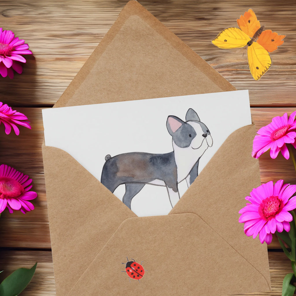 Deluxe Karte Boston Terrier Freude Geburtstagskarte, Grußkarte, Glückwunschkarte, Einladungskarte, Karte, Hochwertige Grußkarte, Hochzeitskarte, Klappkarte, Hochwertige Klappkarte, Hund, Hunderasse, Rassehund, Hundebesitzer, Geschenk, Tierfreund, Schenken, Welpe