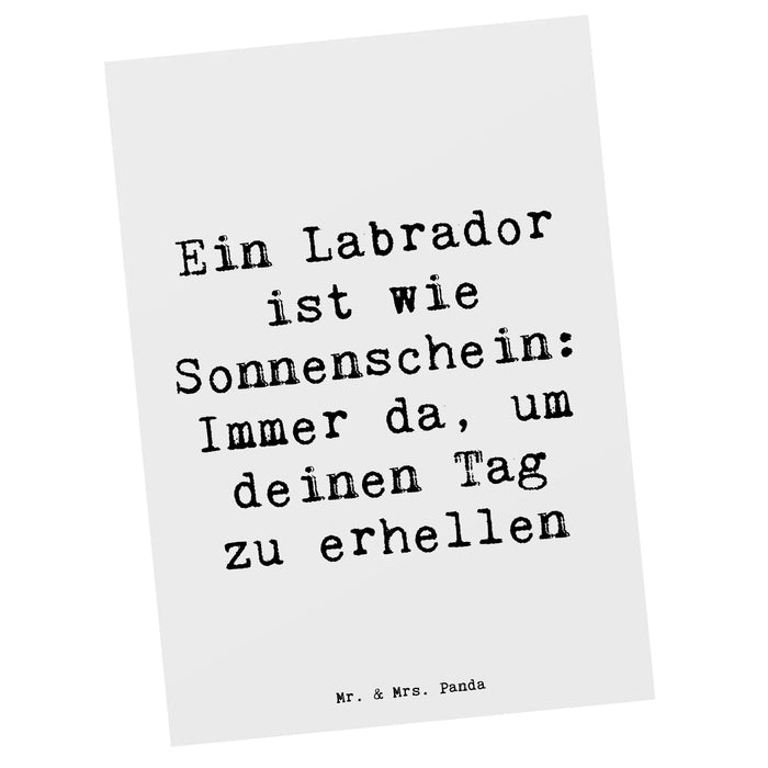 Postkarte Spruch Labrador Sonnenschein