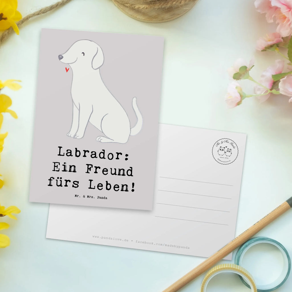 Postkarte Labrador Freund Einladung Geburtstag, Karte, Geburtstagskarte, Dankeskarte, Einladung, Postkarte, Ansichtskarten, Geschenkkarte, Ansichtskarte, Einladungskarten Geburtstag, Einladungskarte, Grußkarte, Hund, Hunderasse, Rassehund, Hundebesitzer, Geschenk, Tierfreund, Schenken, Welpe