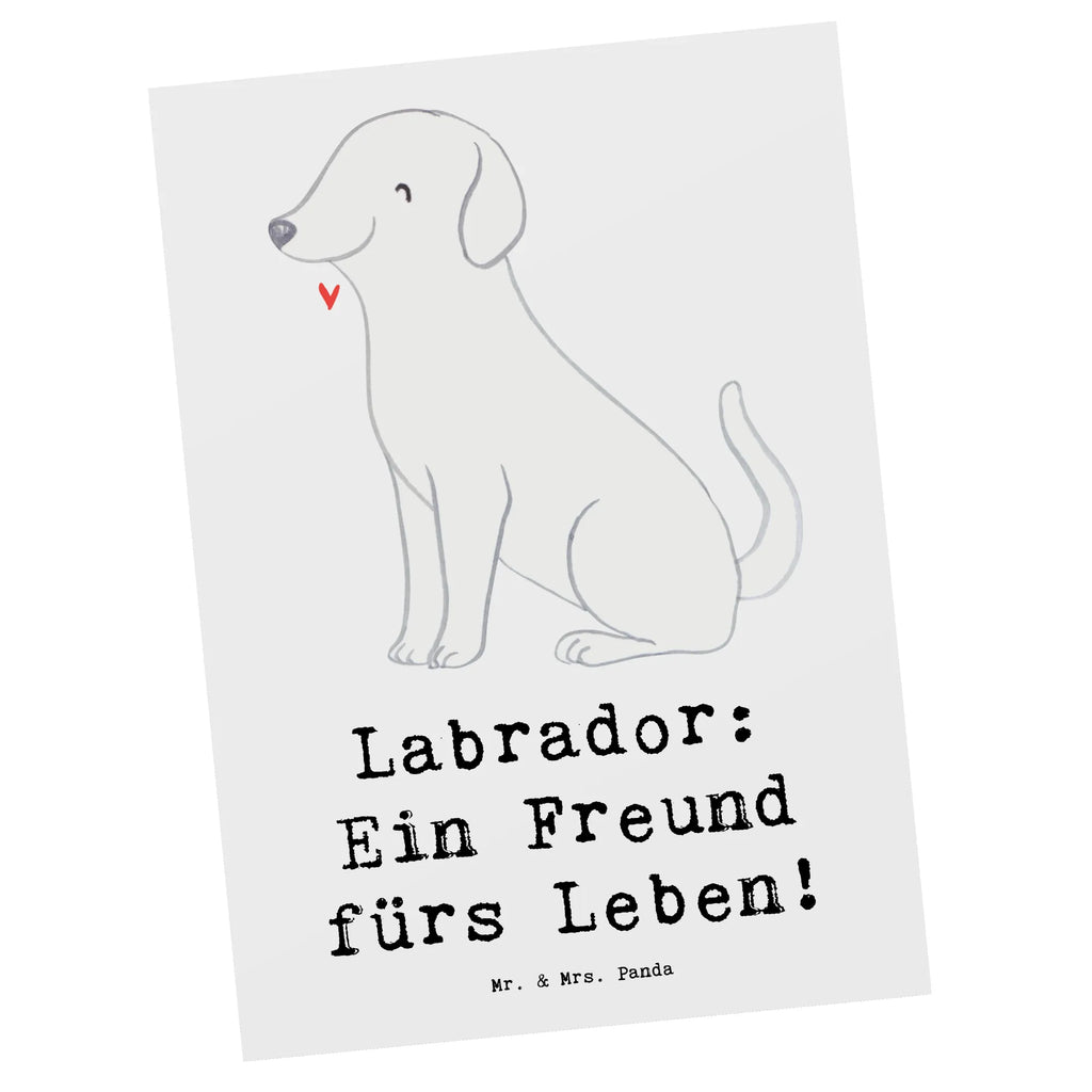 Postkarte Labrador Freund Einladung Geburtstag, Karte, Geburtstagskarte, Dankeskarte, Einladung, Postkarte, Ansichtskarten, Geschenkkarte, Ansichtskarte, Einladungskarten Geburtstag, Einladungskarte, Grußkarte, Hund, Hunderasse, Rassehund, Hundebesitzer, Geschenk, Tierfreund, Schenken, Welpe