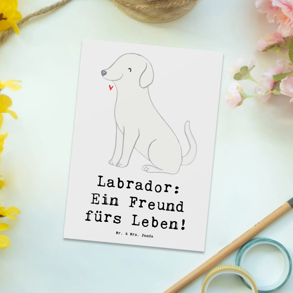 Postkarte Labrador Freund Einladung Geburtstag, Karte, Geburtstagskarte, Dankeskarte, Einladung, Postkarte, Ansichtskarten, Geschenkkarte, Ansichtskarte, Einladungskarten Geburtstag, Einladungskarte, Grußkarte, Hund, Hunderasse, Rassehund, Hundebesitzer, Geschenk, Tierfreund, Schenken, Welpe