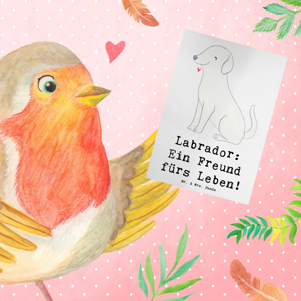Greetings card Labrador: Ein Freund fürs Leben! Hochzeitskarte, Ansichtskarten, Klappkarte, Grußkarte, Geburtstagskarte, Glückwunschkarte, Karte, Einladungskarte, Hund, Hunderasse, Rassehund, Hundebesitzer, Geschenk, Tierfreund, Schenken, Welpe