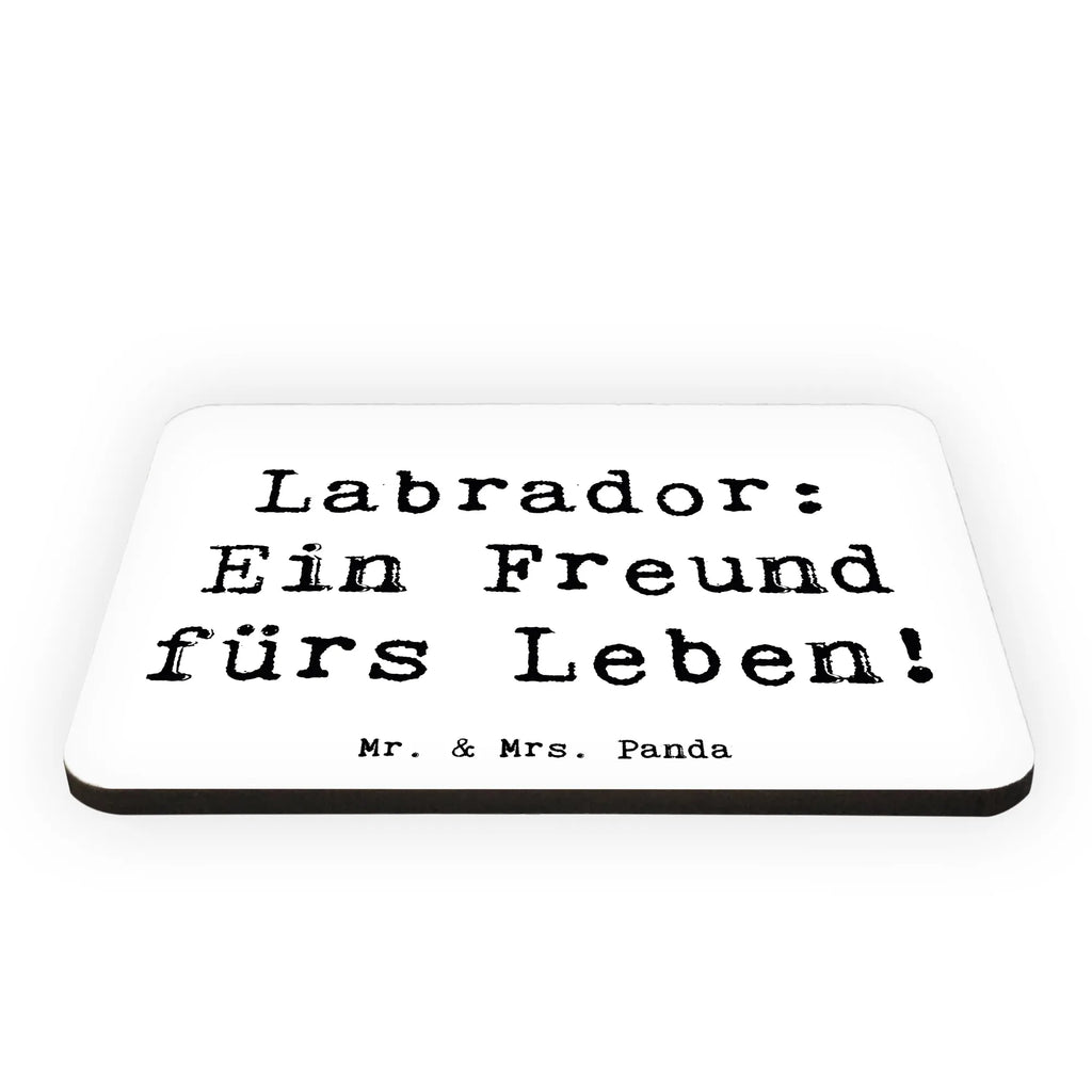 Magnet Spruch Labrador Freund Kühlschrank Dekoration, Whiteboard Magnet, Notiz Magnet, Motivmagnete, Dekomagnet, Kühlschrankmagnet, Souvenir Magnet, Pinnwandmagnet, Hund, Hunderasse, Rassehund, Hundebesitzer, Geschenk, Tierfreund, Schenken, Welpe