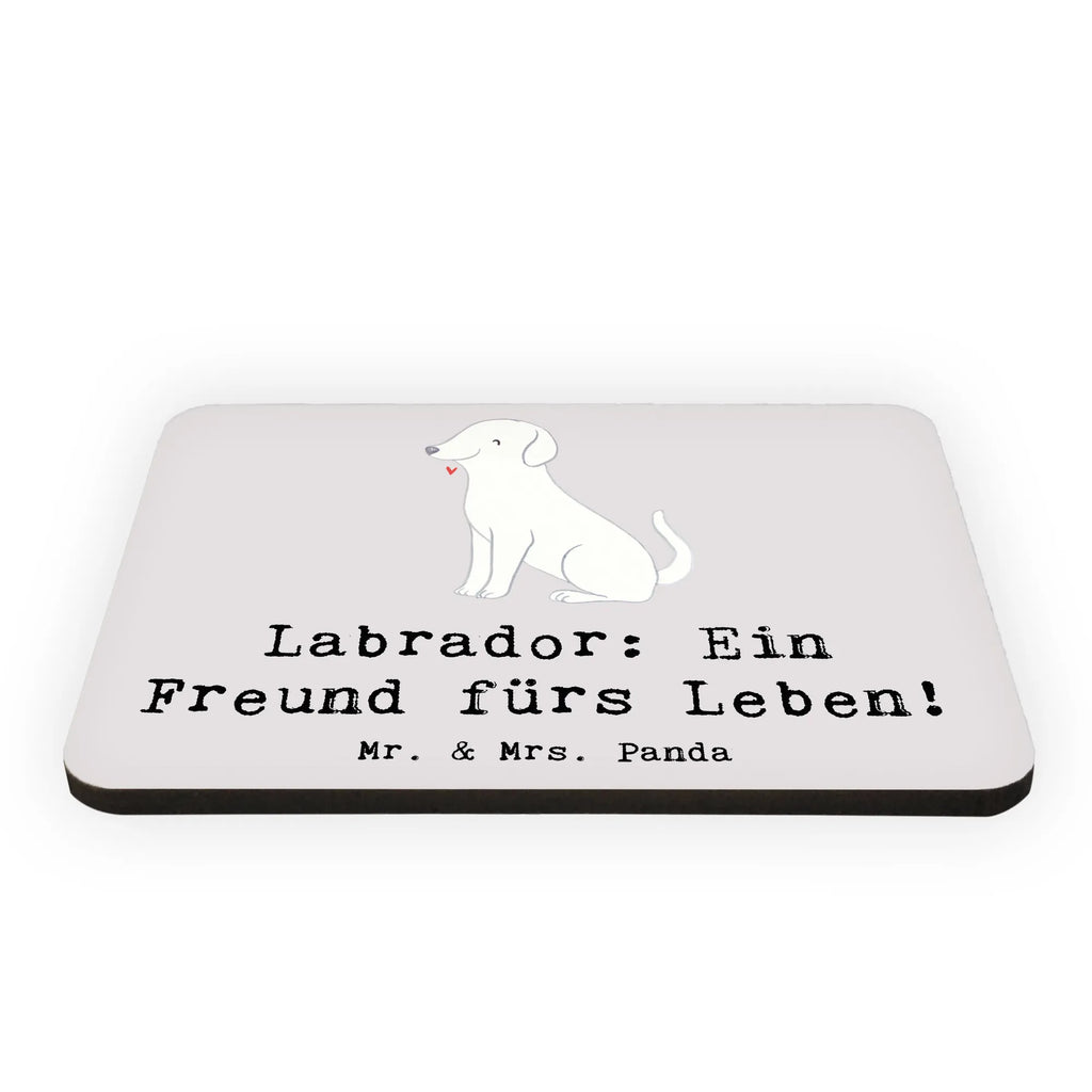 Magnet Labrador: Ein Freund fürs Leben! Whiteboard Magnet, Notiz Magnet, Kühlschrank Dekoration, Pinnwandmagnet, Dekomagnet, Kühlschrankmagnet, Souvenir Magnet, Motivmagnete, Hund, Hunderasse, Rassehund, Hundebesitzer, Geschenk, Tierfreund, Schenken, Welpe