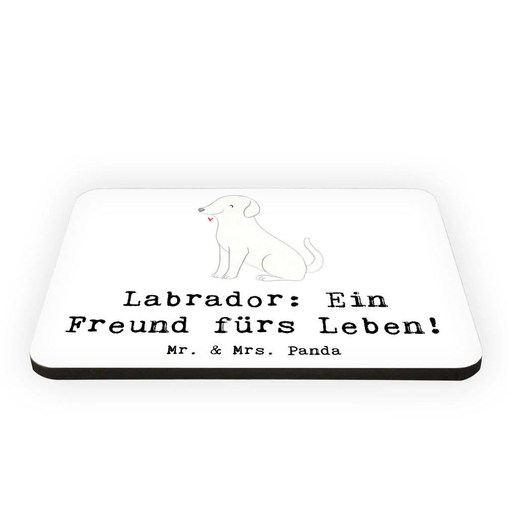 Magnet Labrador: Ein Freund fürs Leben! Whiteboard Magnet, Notiz Magnet, Kühlschrank Dekoration, Pinnwandmagnet, Dekomagnet, Kühlschrankmagnet, Souvenir Magnet, Motivmagnete, Hund, Hunderasse, Rassehund, Hundebesitzer, Geschenk, Tierfreund, Schenken, Welpe