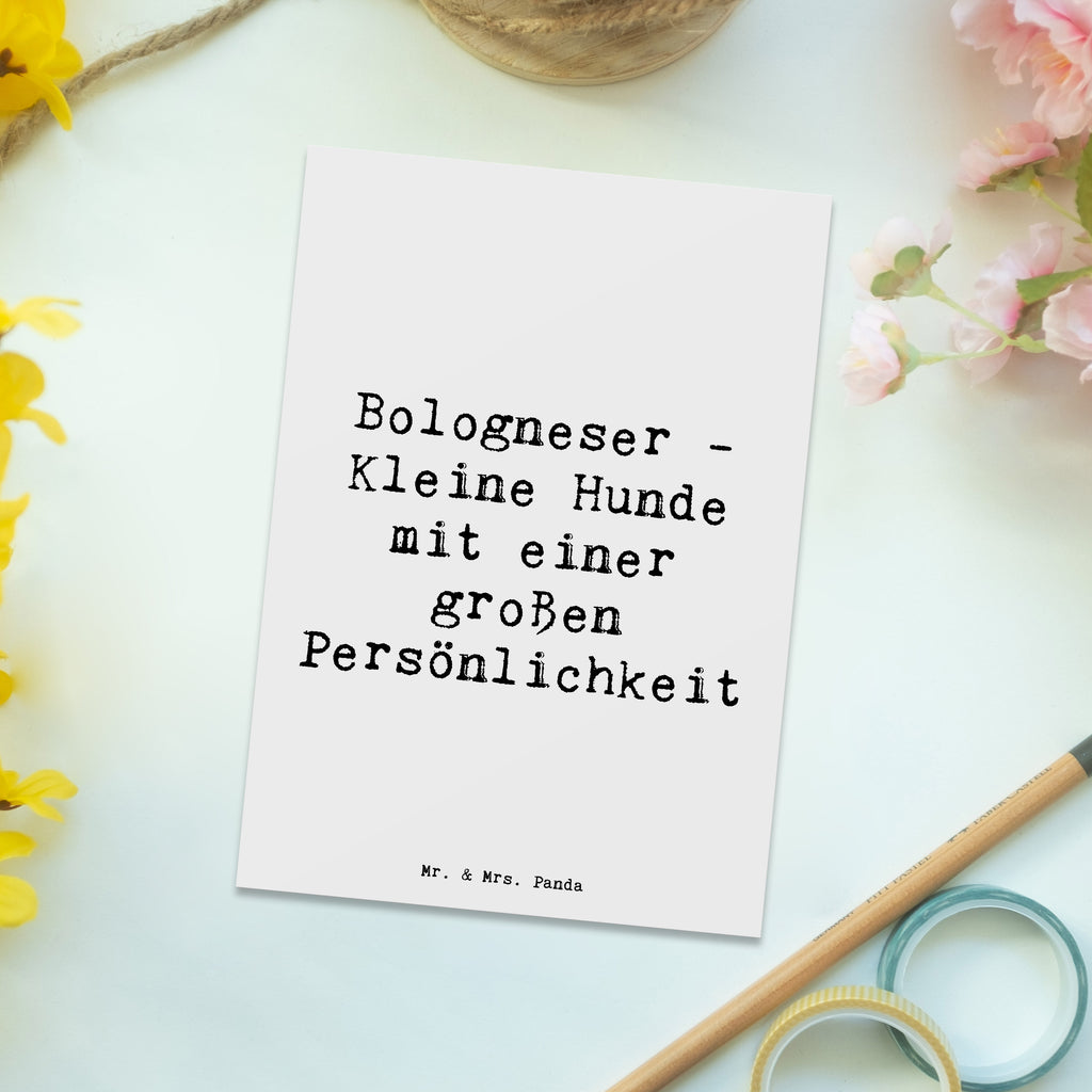 Postcard Saying Bologneser - Kleine Hunde mit einer großen Persönlichkeit Einladung, Ansichtskarte, Ansichtskarten, Grußkarte, Karte, Geschenkkarte, Geburtstagskarte, Einladungskarten Geburtstag, Einladung Geburtstag, Einladungskarte, Dankeskarte, Postkarte, Hund, Hunderasse, Rassehund, Hundebesitzer, Geschenk, Tierfreund, Schenken, Welpe