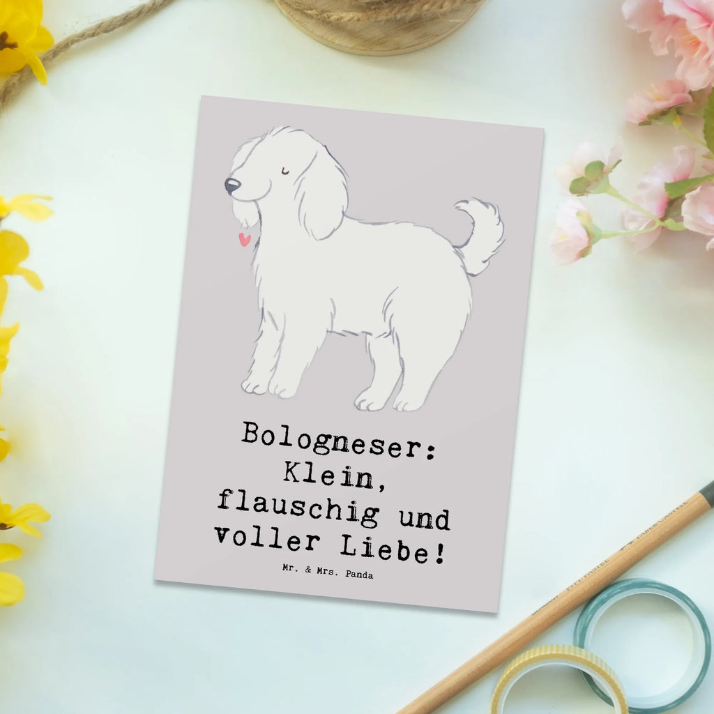 Postkarte Bologneser Liebe Einladung Geburtstag, Ansichtskarten, Einladungskarten Geburtstag, Dankeskarte, Geschenkkarte, Ansichtskarte, Einladungskarte, Karte, Geburtstagskarte, Einladung, Grußkarte, Postkarte, Hund, Hunderasse, Rassehund, Hundebesitzer, Geschenk, Tierfreund, Schenken, Welpe