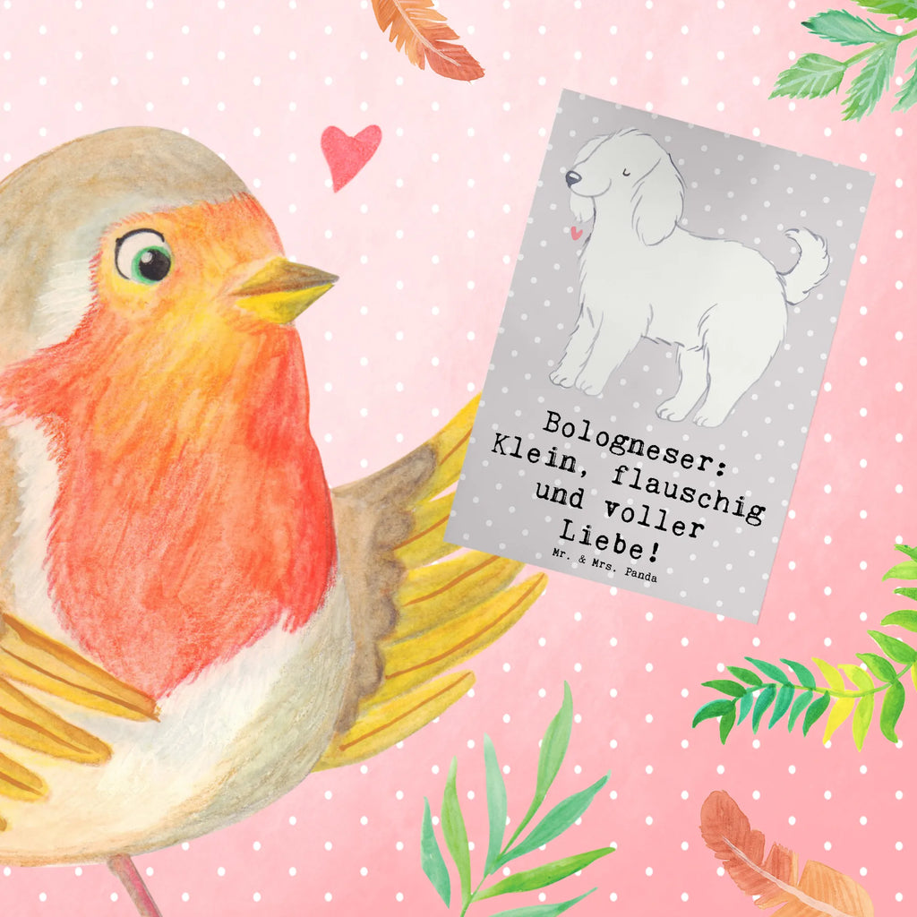 Greetings card Bologneser: Klein, flauschig und voller Liebe! Karte, Glückwunschkarte, Ansichtskarten, Grußkarte, Einladungskarte, Geburtstagskarte, Hochzeitskarte, Klappkarte, Hund, Hunderasse, Rassehund, Hundebesitzer, Geschenk, Tierfreund, Schenken, Welpe