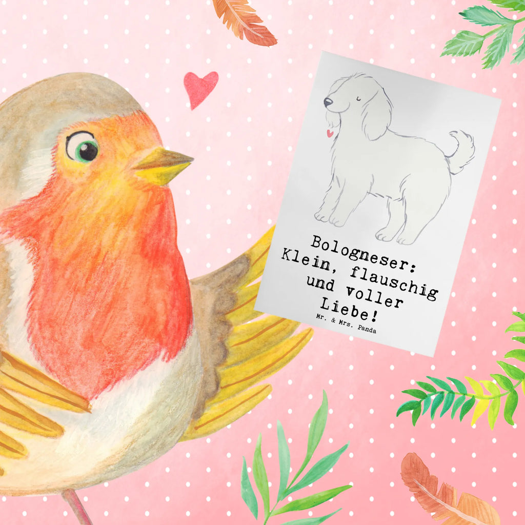 Greetings card Bologneser: Klein, flauschig und voller Liebe! Karte, Glückwunschkarte, Ansichtskarten, Grußkarte, Einladungskarte, Geburtstagskarte, Hochzeitskarte, Klappkarte, Hund, Hunderasse, Rassehund, Hundebesitzer, Geschenk, Tierfreund, Schenken, Welpe
