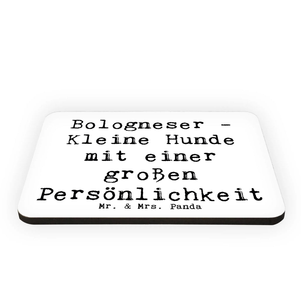 Magnet Spruch Bologneser Charakterstark Notiz Magnet, Kühlschrankmagnet, Souvenir Magnet, Motivmagnete, Kühlschrank Dekoration, Dekomagnet, Whiteboard Magnet, Pinnwandmagnet, Hund, Hunderasse, Rassehund, Hundebesitzer, Geschenk, Tierfreund, Schenken, Welpe