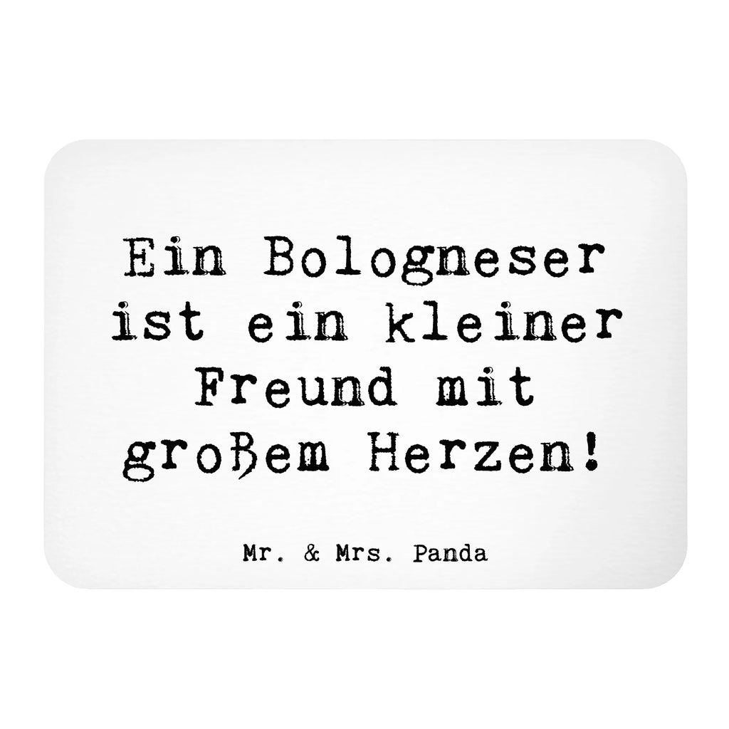 Magnet Saying Ein Bologneser ist ein kleiner Freund mit großem Herzen! Notiz Magnet, Whiteboard Magnet, Kühlschrank Dekoration, Pinnwandmagnet, Dekomagnet, Kühlschrankmagnet, Souvenir Magnet, Motivmagnete, Hund, Hunderasse, Rassehund, Hundebesitzer, Geschenk, Tierfreund, Schenken, Welpe