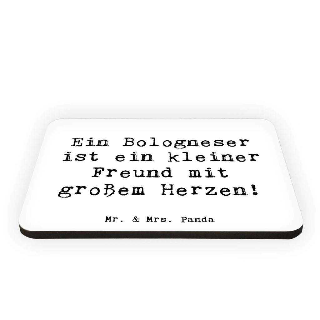 Magnet Saying Ein Bologneser ist ein kleiner Freund mit großem Herzen! Notiz Magnet, Whiteboard Magnet, Kühlschrank Dekoration, Pinnwandmagnet, Dekomagnet, Kühlschrankmagnet, Souvenir Magnet, Motivmagnete, Hund, Hunderasse, Rassehund, Hundebesitzer, Geschenk, Tierfreund, Schenken, Welpe
