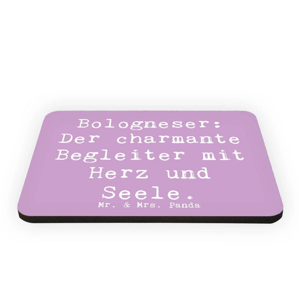 Magnet Spruch Bologneser Begleiter Dekomagnet, Whiteboard Magnet, Souvenir Magnet, Notiz Magnet, Pinnwandmagnet, Kühlschrankmagnet, Motivmagnete, Kühlschrank Dekoration, Hund, Hunderasse, Rassehund, Hundebesitzer, Geschenk, Tierfreund, Schenken, Welpe