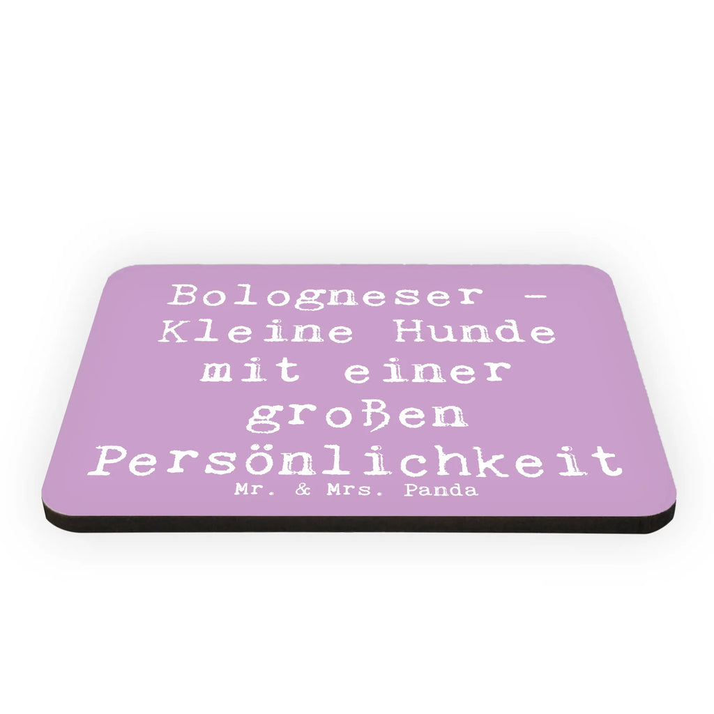 Magnet Spruch Bologneser Charakterstark Notiz Magnet, Kühlschrankmagnet, Souvenir Magnet, Motivmagnete, Kühlschrank Dekoration, Dekomagnet, Whiteboard Magnet, Pinnwandmagnet, Hund, Hunderasse, Rassehund, Hundebesitzer, Geschenk, Tierfreund, Schenken, Welpe