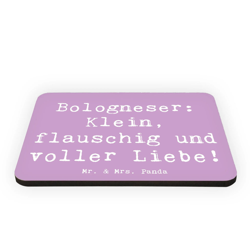 Magnet Saying Bologneser: Klein, flauschig und voller Liebe! Notiz Magnet, Whiteboard Magnet, Pinnwandmagnet, Dekomagnet, Motivmagnete, Souvenir Magnet, Kühlschrankmagnet, Kühlschrank Dekoration, Hund, Hunderasse, Rassehund, Hundebesitzer, Geschenk, Tierfreund, Schenken, Welpe