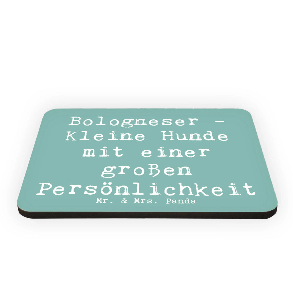 Magnet Spruch Bologneser Charakterstark Notiz Magnet, Kühlschrankmagnet, Souvenir Magnet, Motivmagnete, Kühlschrank Dekoration, Dekomagnet, Whiteboard Magnet, Pinnwandmagnet, Hund, Hunderasse, Rassehund, Hundebesitzer, Geschenk, Tierfreund, Schenken, Welpe