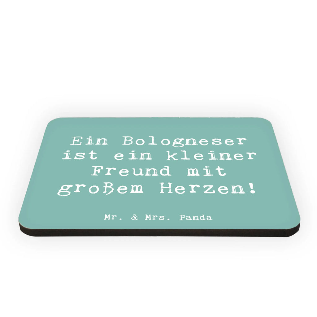 Magnet Saying Ein Bologneser ist ein kleiner Freund mit großem Herzen! Notiz Magnet, Whiteboard Magnet, Kühlschrank Dekoration, Pinnwandmagnet, Dekomagnet, Kühlschrankmagnet, Souvenir Magnet, Motivmagnete, Hund, Hunderasse, Rassehund, Hundebesitzer, Geschenk, Tierfreund, Schenken, Welpe