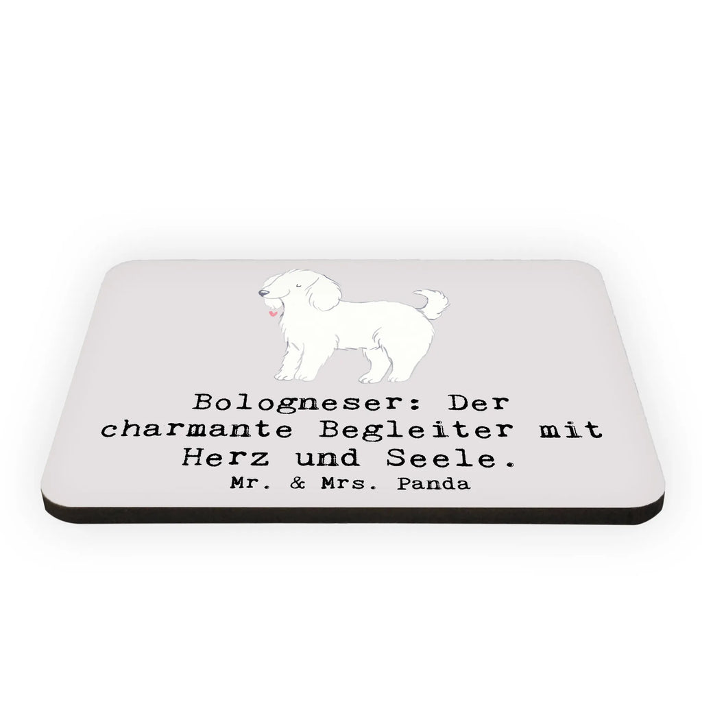 Magnet Bologneser Begleiter Kühlschrankmagnet, Dekomagnet, Motivmagnete, Kühlschrank Dekoration, Notiz Magnet, Whiteboard Magnet, Souvenir Magnet, Pinnwandmagnet, Hund, Hunderasse, Rassehund, Hundebesitzer, Geschenk, Tierfreund, Schenken, Welpe
