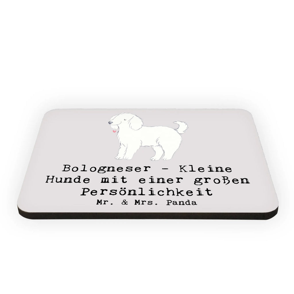 Magnet Bologneser Charakterstark Kühlschrankmagnet, Souvenir Magnet, Pinnwandmagnet, Kühlschrank Dekoration, Motivmagnete, Notiz Magnet, Dekomagnet, Whiteboard Magnet, Hund, Hunderasse, Rassehund, Hundebesitzer, Geschenk, Tierfreund, Schenken, Welpe