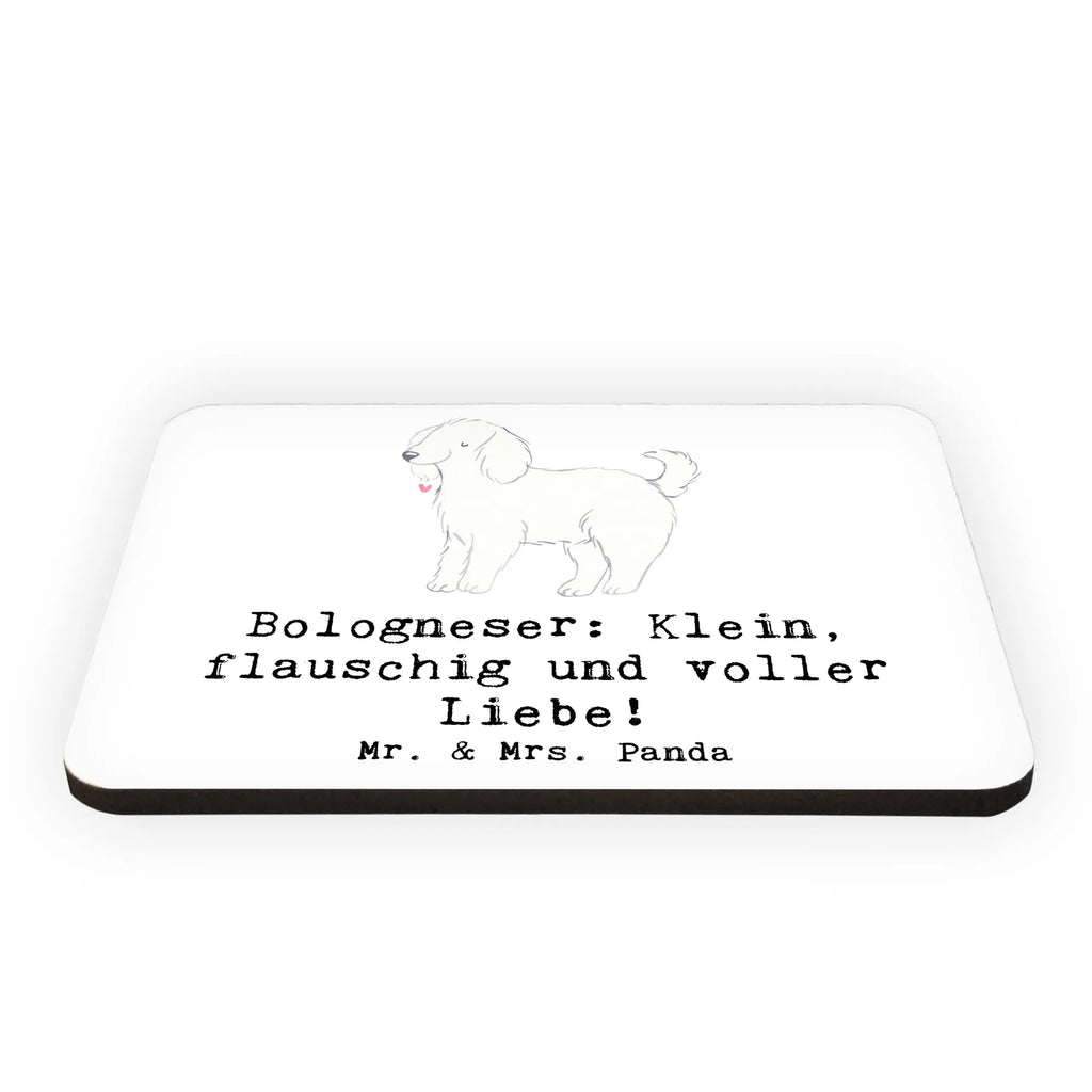 Magnet Bologneser: Klein, flauschig und voller Liebe! Motivmagnete, Whiteboard Magnet, Kühlschrankmagnet, Kühlschrank Dekoration, Dekomagnet, Souvenir Magnet, Notiz Magnet, Pinnwandmagnet, Hund, Hunderasse, Rassehund, Hundebesitzer, Geschenk, Tierfreund, Schenken, Welpe