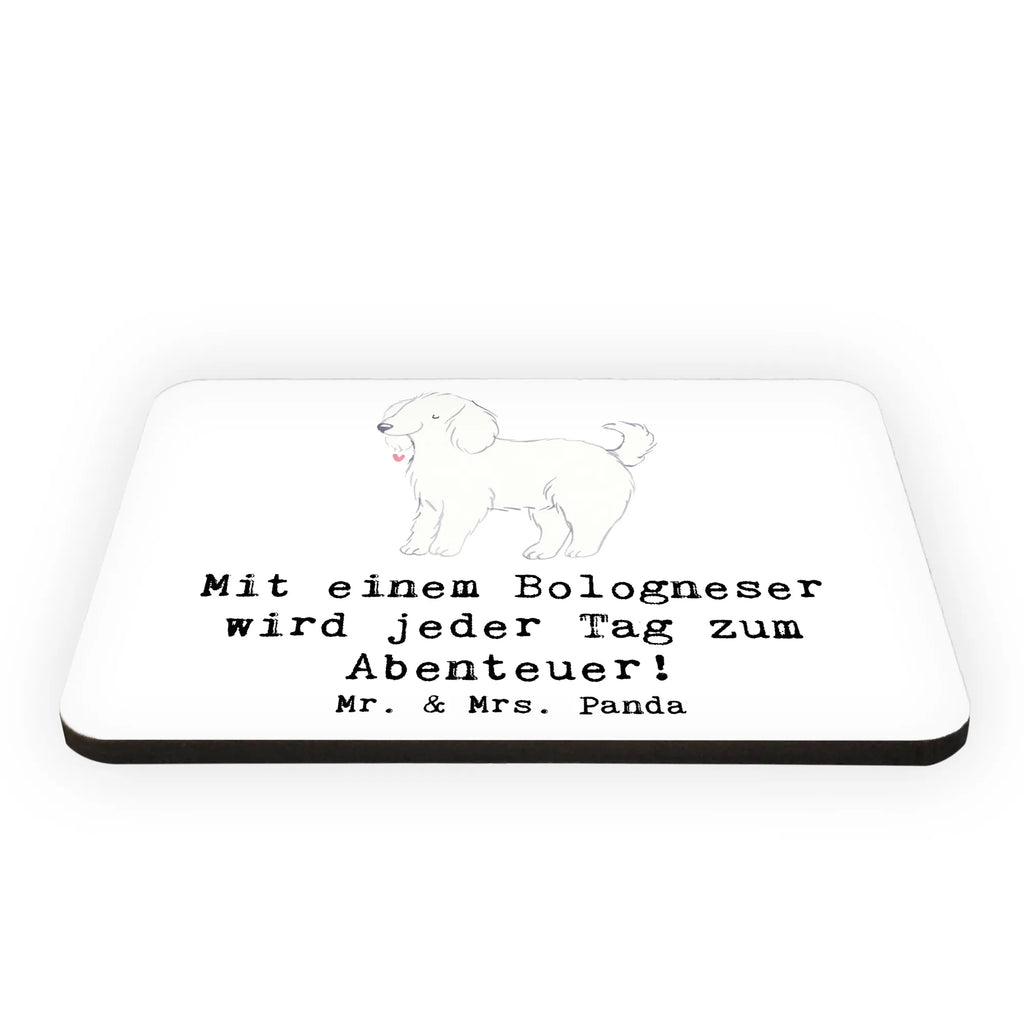 Magnet Mit einem Bologneser wird jeder Tag zum Abenteuer! Notiz Magnet, Kühlschrankmagnet, Souvenir Magnet, Whiteboard Magnet, Kühlschrank Dekoration, Dekomagnet, Motivmagnete, Pinnwandmagnet, Hund, Hunderasse, Rassehund, Hundebesitzer, Geschenk, Tierfreund, Schenken, Welpe