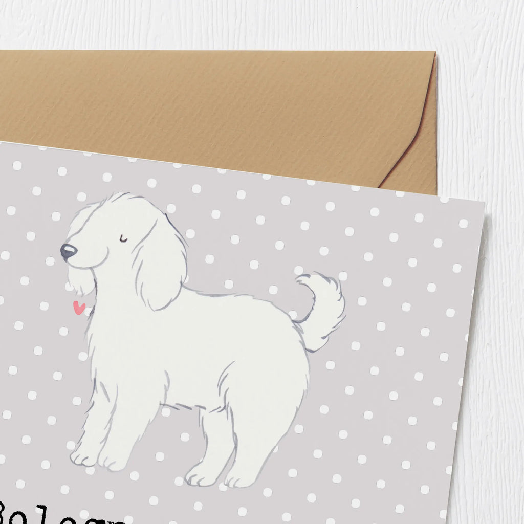 Deluxe Karte Bologneser Begleiter Karte, Hochzeitskarte, Einladungskarte, Hochwertige Grußkarte, Grußkarte, Glückwunschkarte, Geburtstagskarte, Klappkarte, Hochwertige Klappkarte, Hund, Hunderasse, Rassehund, Hundebesitzer, Geschenk, Tierfreund, Schenken, Welpe