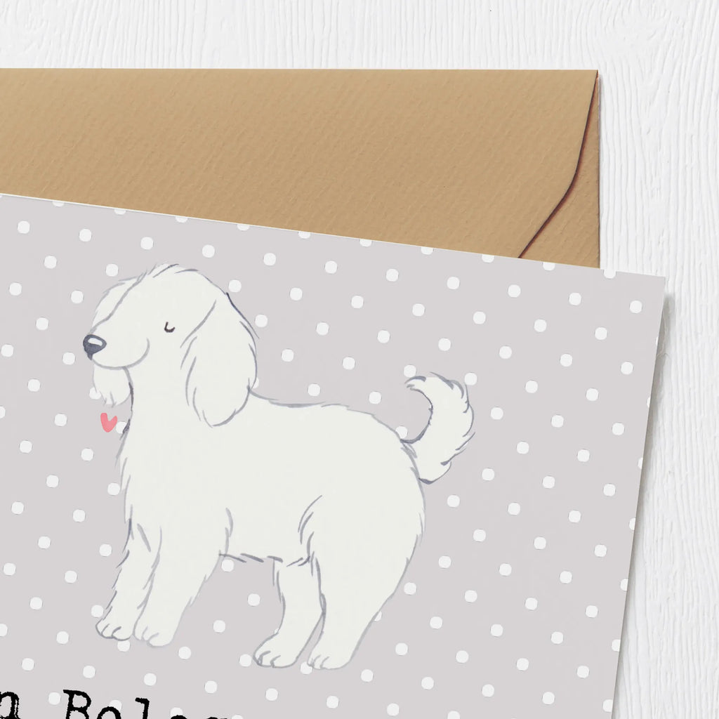 Deluxe Karte Bologneser Herzfreund Geburtstagskarte, Glückwunschkarte, Hochwertige Grußkarte, Karte, Hochwertige Klappkarte, Einladungskarte, Klappkarte, Grußkarte, Hochzeitskarte, Hund, Hunderasse, Rassehund, Hundebesitzer, Geschenk, Tierfreund, Schenken, Welpe