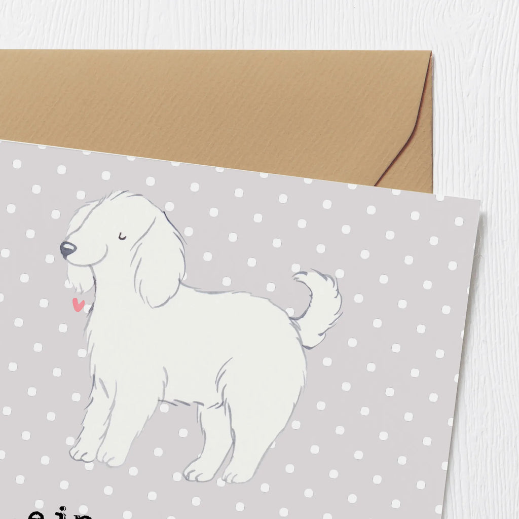 Deluxe Karte Bologneser Abenteuer Geburtstagskarte, Hochzeitskarte, Karte, Grußkarte, Klappkarte, Hochwertige Klappkarte, Hochwertige Grußkarte, Glückwunschkarte, Einladungskarte, Hund, Hunderasse, Rassehund, Hundebesitzer, Geschenk, Tierfreund, Schenken, Welpe