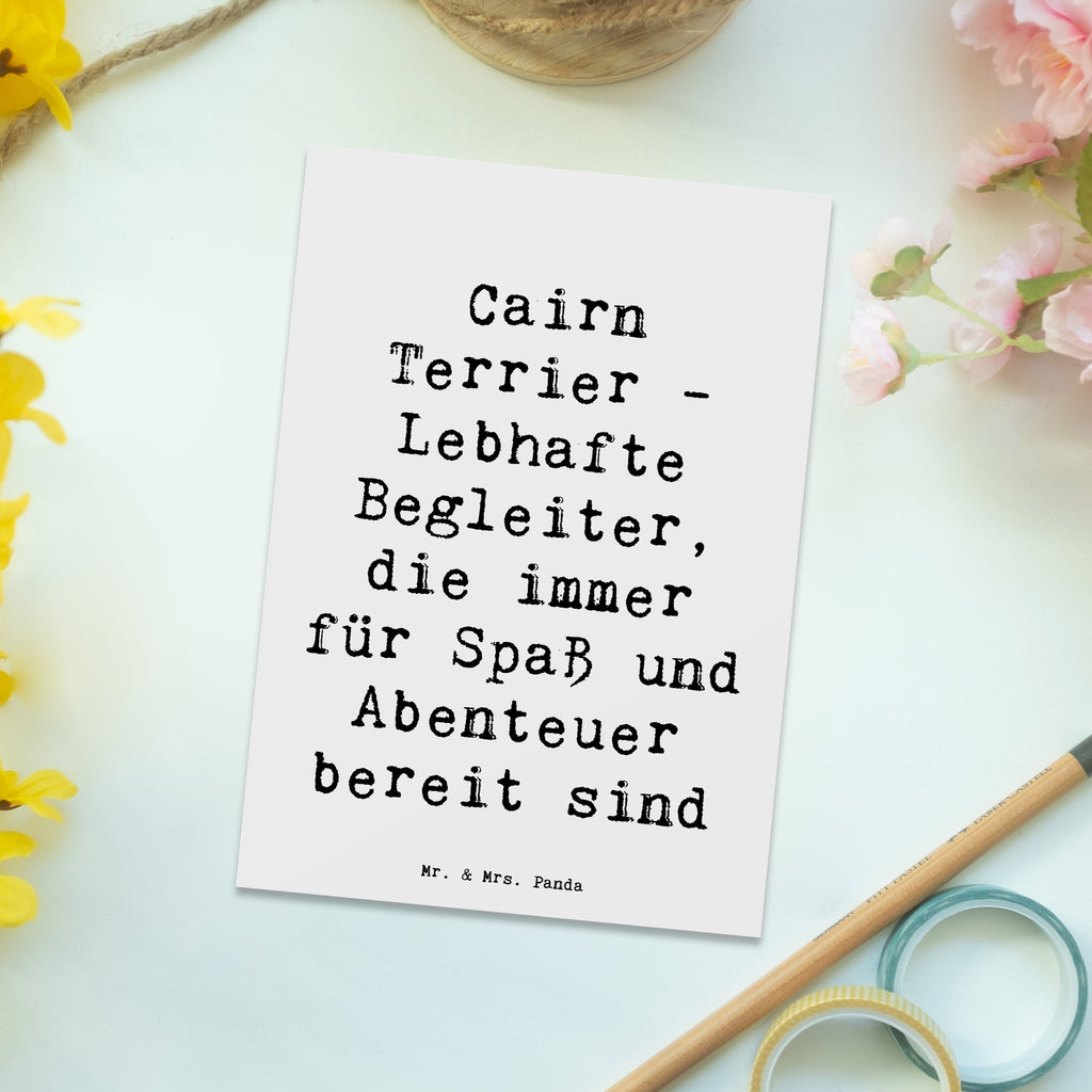 Postkarte Spruch Cairn Terrier Begleiter Grußkarte, Karte, Geburtstagskarte, Ansichtskarten, Einladung, Dankeskarte, Geschenkkarte, Postkarte, Einladungskarten Geburtstag, Einladung Geburtstag, Einladungskarte, Ansichtskarte, Hund, Hunderasse, Rassehund, Hundebesitzer, Geschenk, Tierfreund, Schenken, Welpe