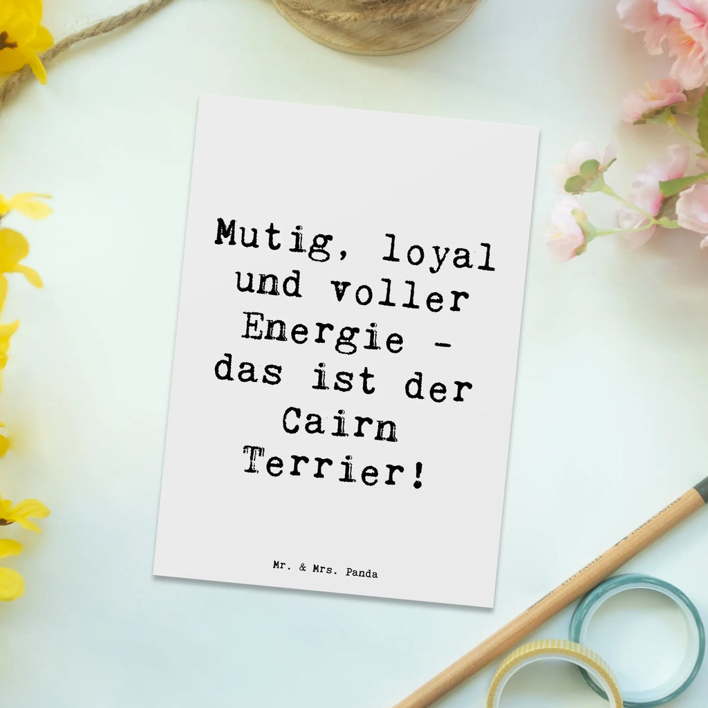 Postcard Saying Mutig, loyal und voller Energie - das ist der Cairn Terrier! Dankeskarte, Einladungskarte, Einladung Geburtstag, Einladungskarten Geburtstag, Einladung, Karte, Geburtstagskarte, Ansichtskarten, Geschenkkarte, Grußkarte, Ansichtskarte, Postkarte, Hund, Hunderasse, Rassehund, Hundebesitzer, Geschenk, Tierfreund, Schenken, Welpe