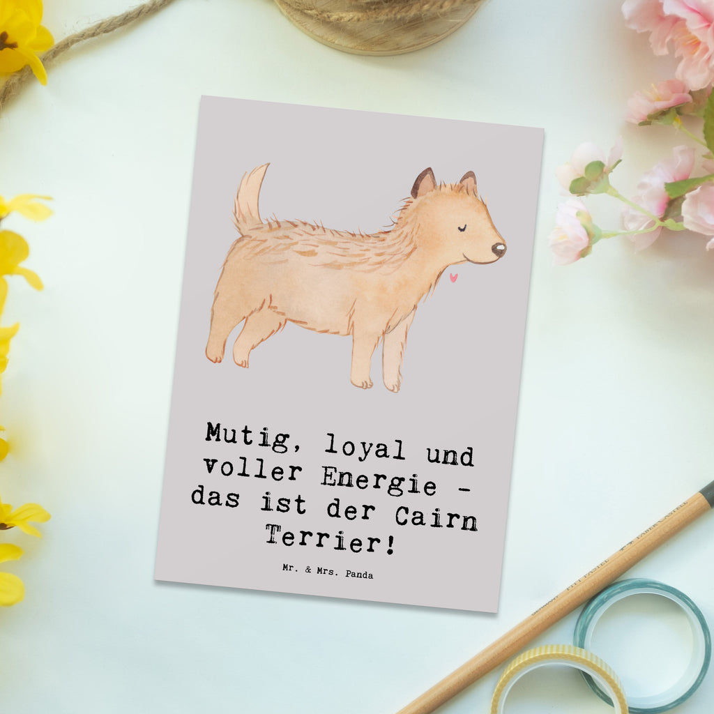 Postkarte Mutiger Cairn Terrier Postkarte, Einladungskarte, Grußkarte, Ansichtskarte, Einladung, Einladungskarten Geburtstag, Karte, Ansichtskarten, Dankeskarte, Geburtstagskarte, Einladung Geburtstag, Geschenkkarte, Hund, Hunderasse, Rassehund, Hundebesitzer, Geschenk, Tierfreund, Schenken, Welpe