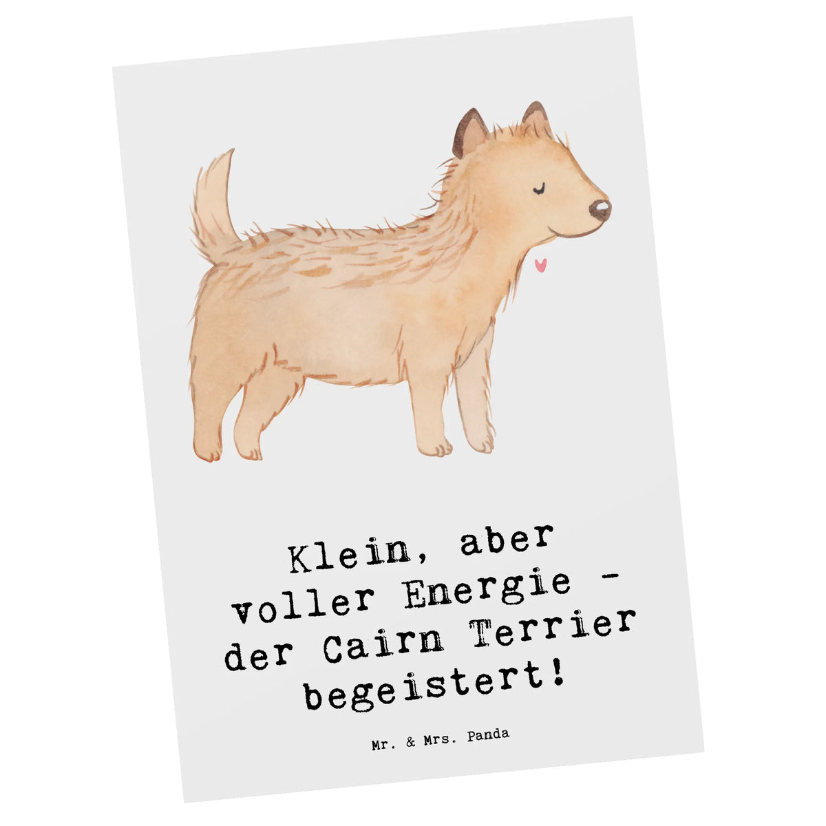 Postkarte Cairn Terrier